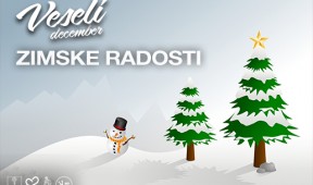 banner-spletna-projekt-zimske-radosti-1